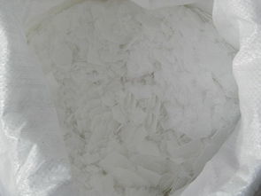 蓋州片堿出廠價格波動原因及其對生物飼料研發的影響